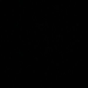 Meet your Posher, Joni